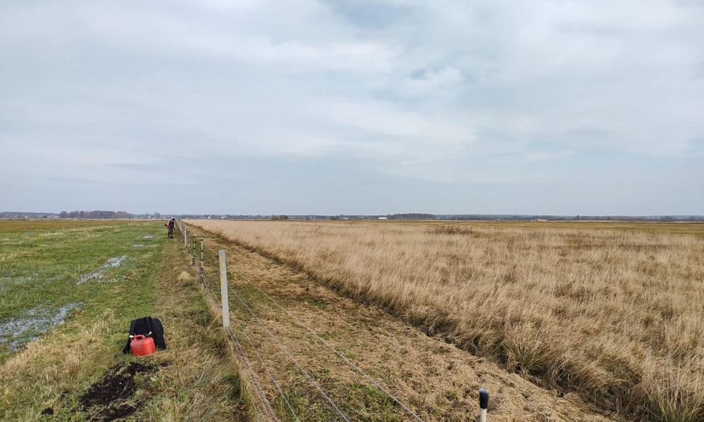 Listopad przyniósł nam mgły i mżawkę, w mieście powietrze pachnie spalenizną.